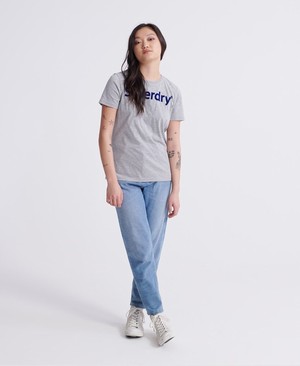 Superdry Flock Női Pólók Szürke | KPUWT0742